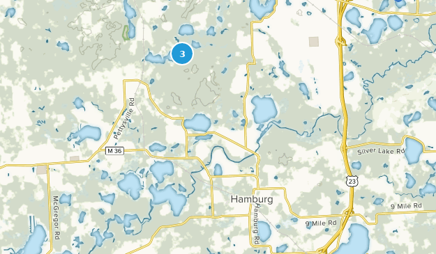 Hamburg, Míchigan Map