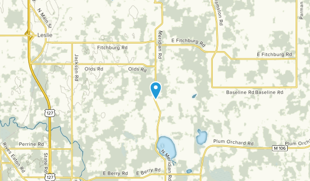 Henrietta, Michigan Map