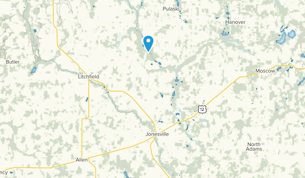 Jonesville, Michigan Map