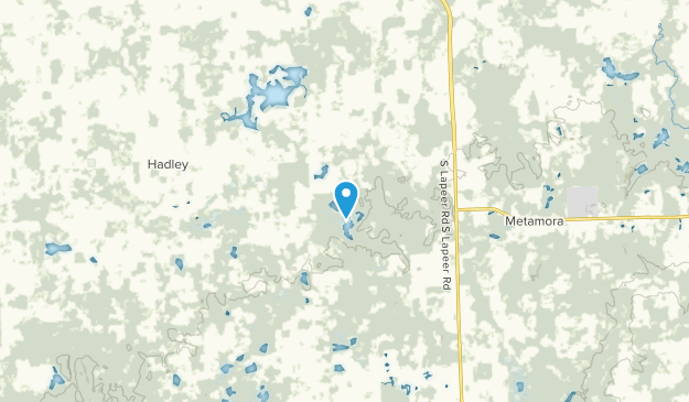 Metamora, Michigan Map