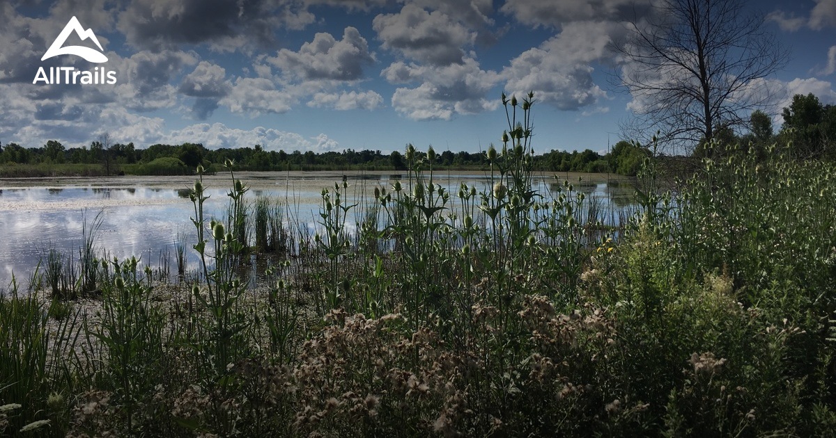 Best Trails near New Haven, Michigan AllTrails