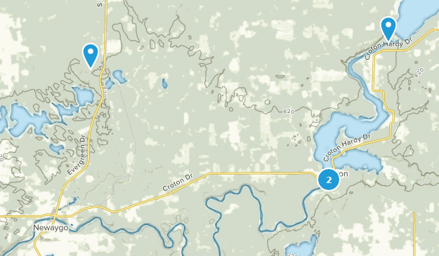 Newaygo, Michigan Map