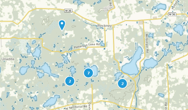 Pinckney, Michigan Map