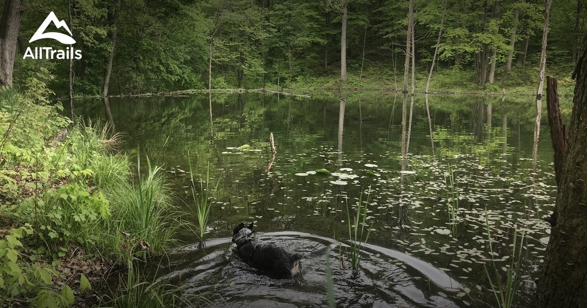 Best hikes and trails in Pittsford AllTrails