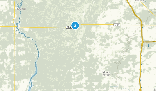 Rhodes, Michigan Map