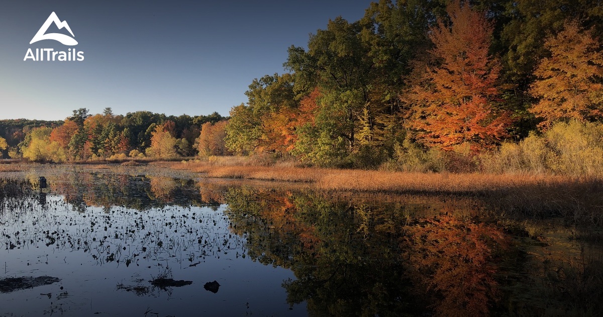 Best trails in Rockford, Michigan | AllTrails