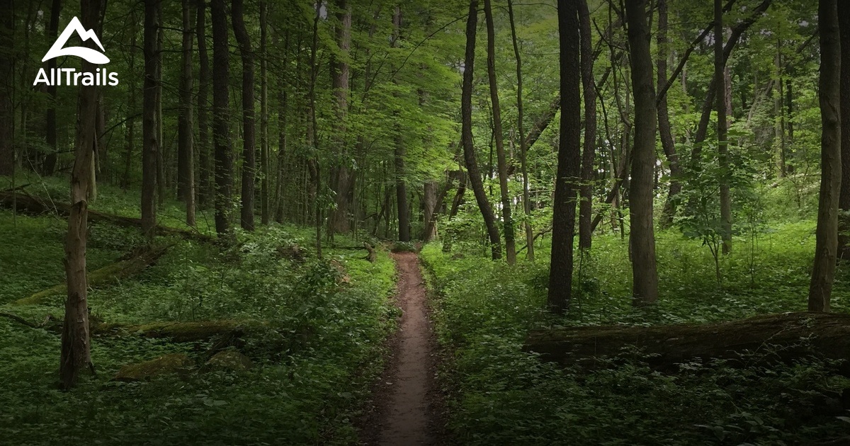 Best hikes and trails in South Lyon AllTrails