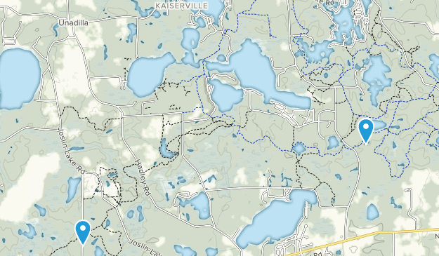 Unadilla Township, Michigan Map