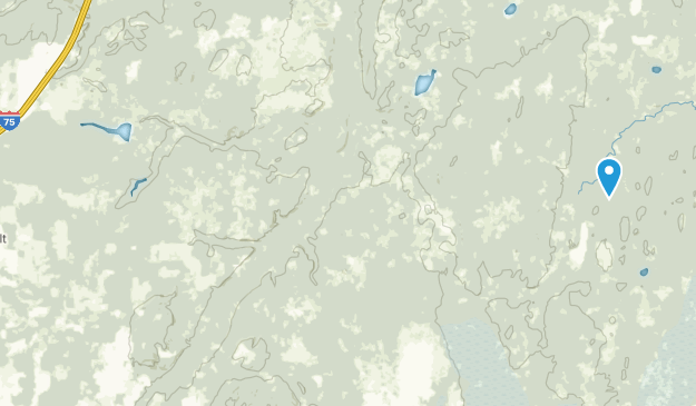 Vanderbilt, Michigan Map