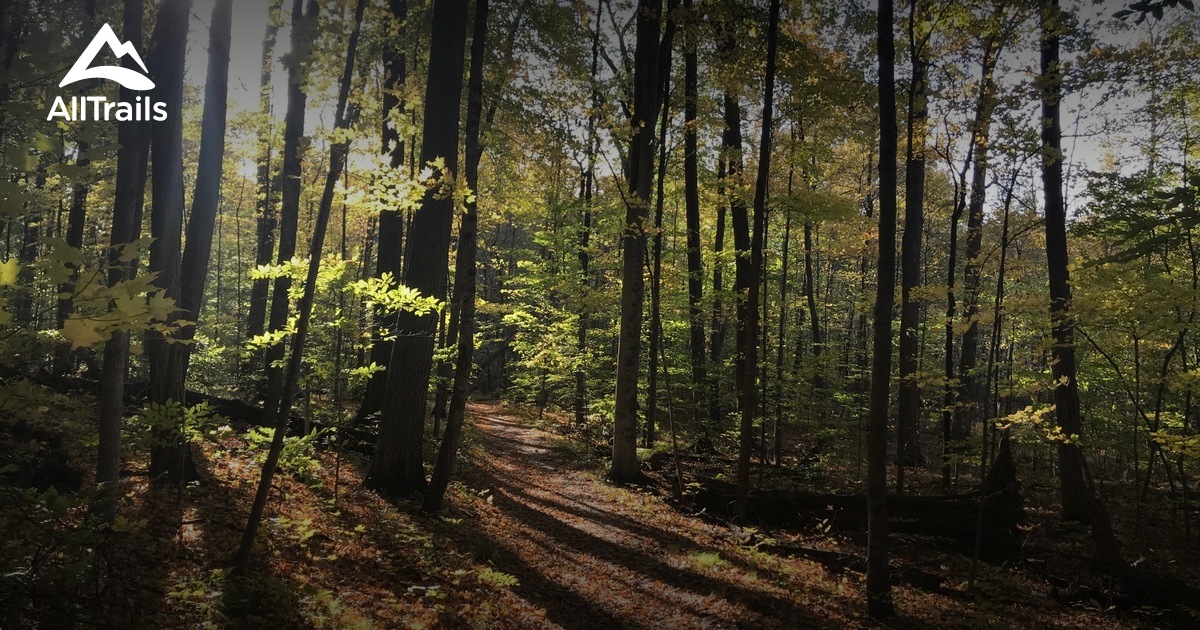 Best Trails near White Lake Township, Michigan AllTrails