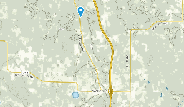 Wolverine, Michigan Map