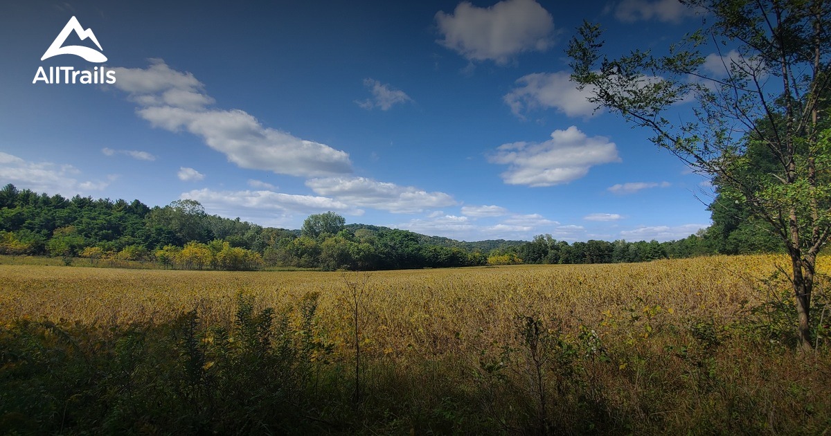 Best forest trails in Featherstone AllTrails