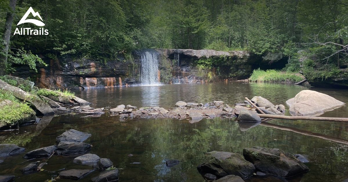 Best forest trails in Finlayson Township AllTrails