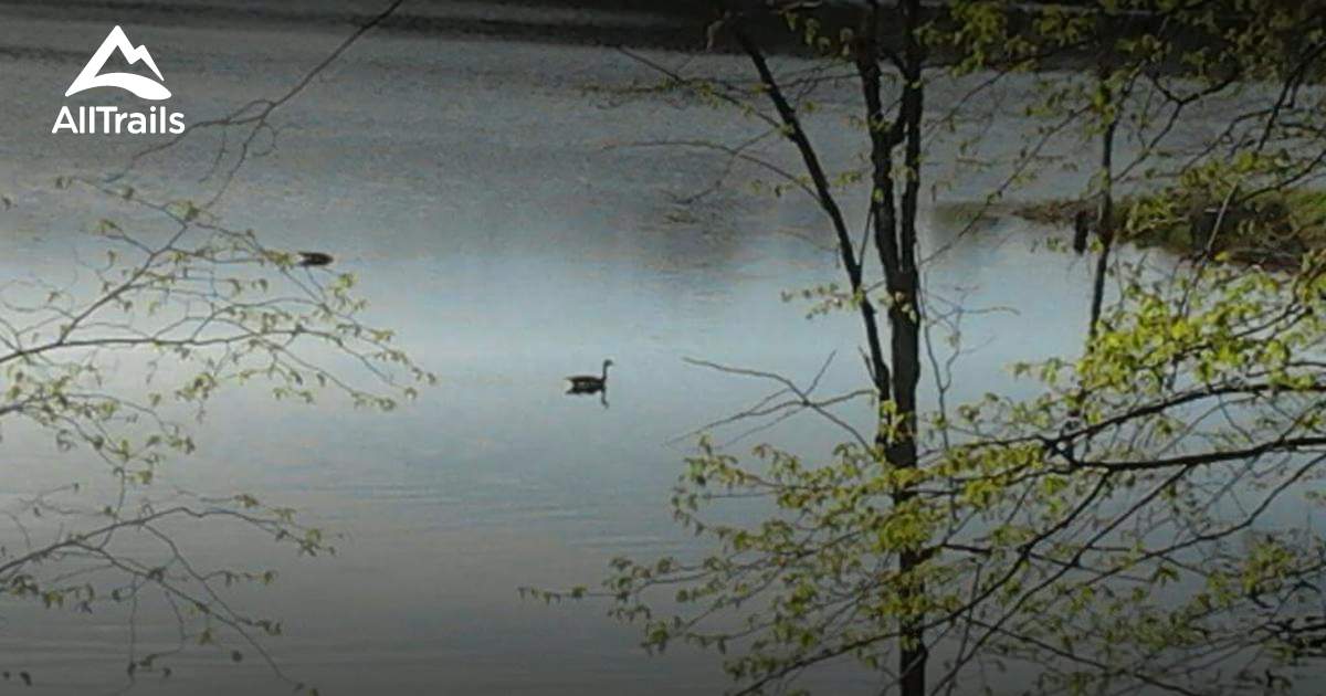 Best Trails near Maple Lake, Minnesota AllTrails