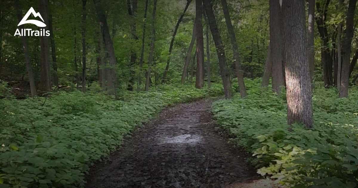 Best hikes and trails in Maple Lake AllTrails