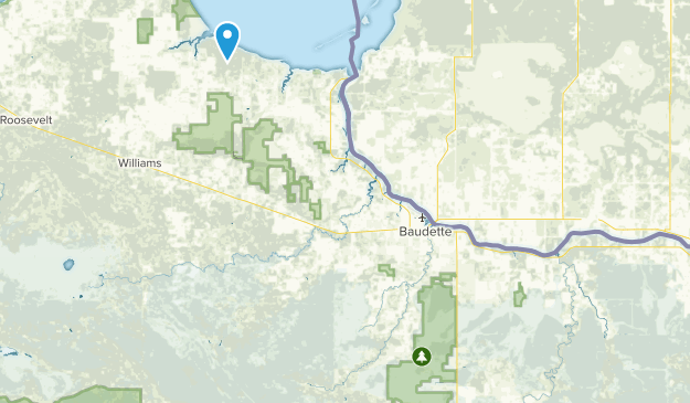 Rainy River, Minnesota Map
