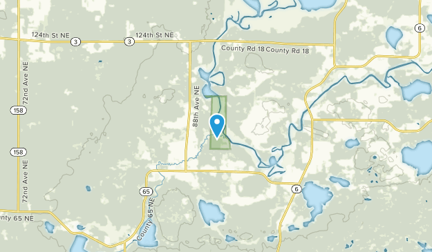 Remer, Minnesota Map