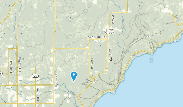Municipio de Silver Creek, Minnesota Map