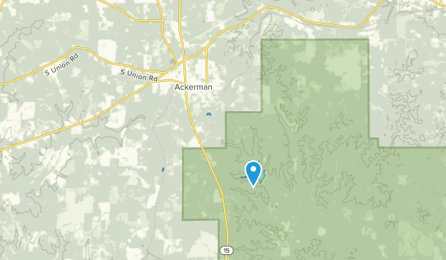 Ackerman, Mississippi Map