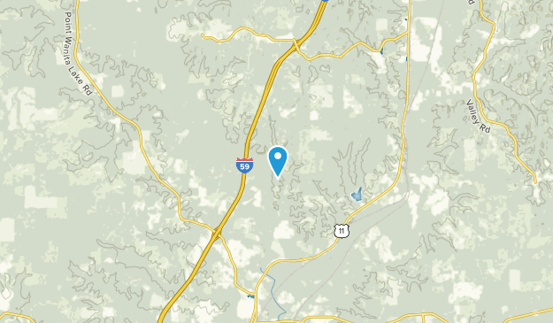 Basic, Mississippi Map