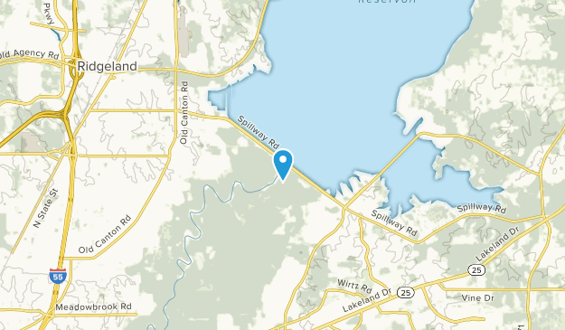 Brandon, Mississippi Map