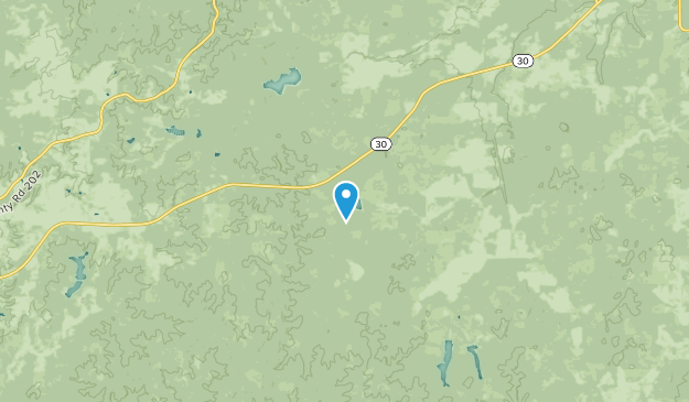 Potts Camp, Mississippi Map