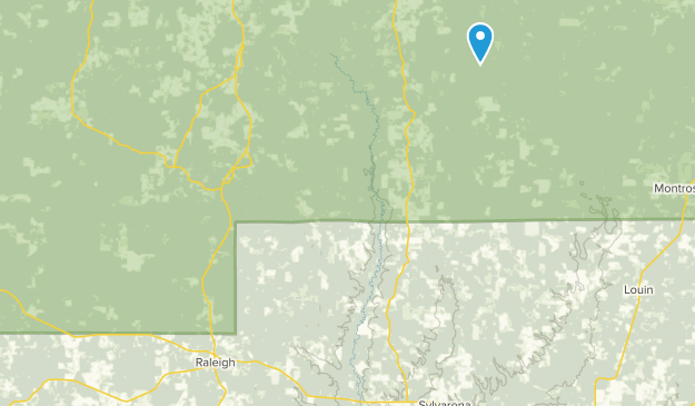 Raleigh, Mississippi Map