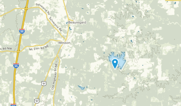 Wesson, Mississippi Map