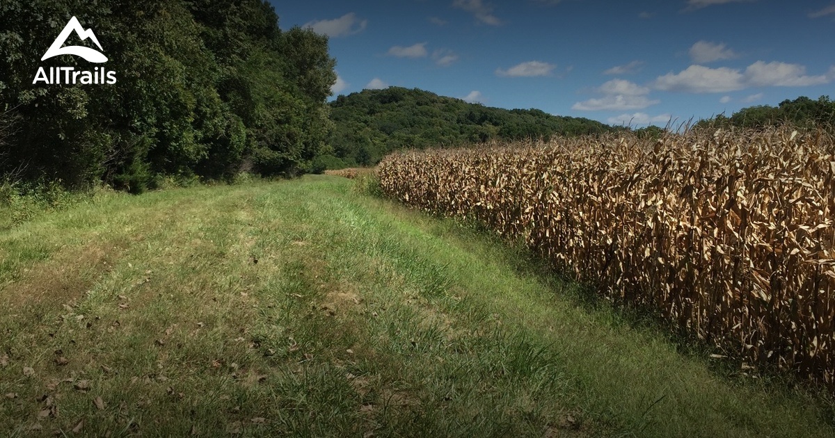 Best hikes and trails in Amazonia AllTrails