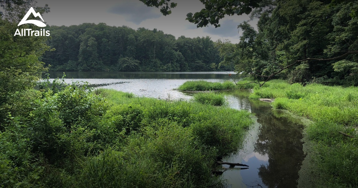 Best Hikes and Trails in Chaffee AllTrails