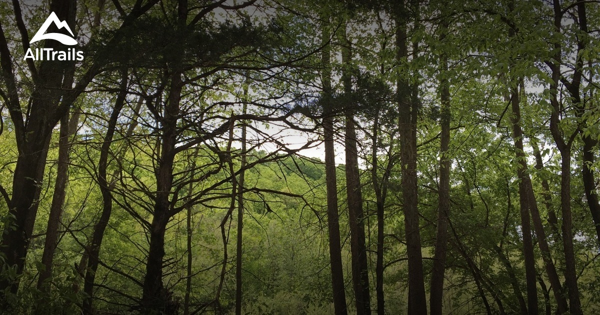 Best hikes and trails in Chestnutridge | AllTrails