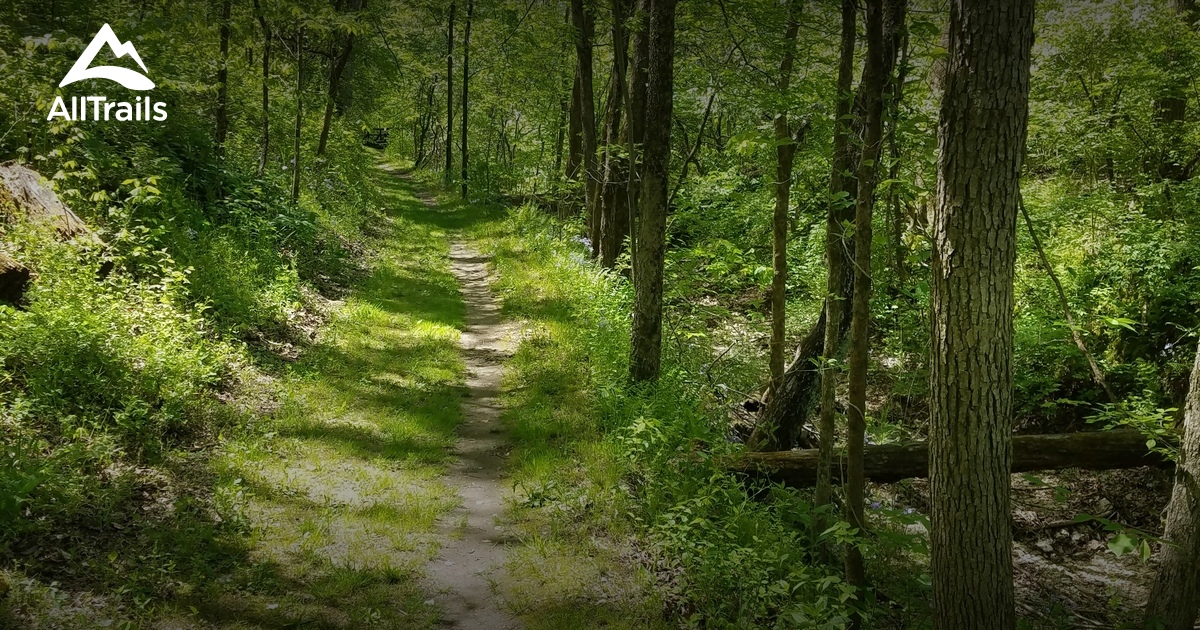 Best walking trails in High Ridge AllTrails