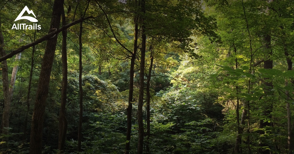 Best hikes and trails in Labadie AllTrails