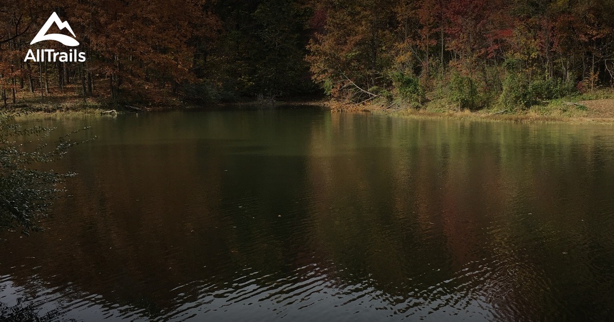 Best hikes and trails in Oran AllTrails