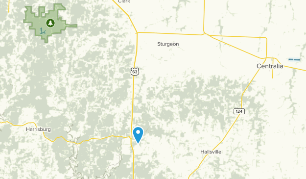 Sturgeon, Missouri Map
