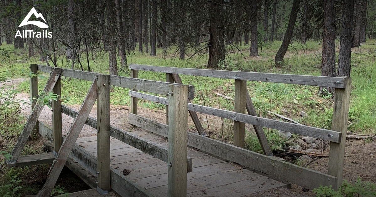 Best hikes and trails in Alberton AllTrails