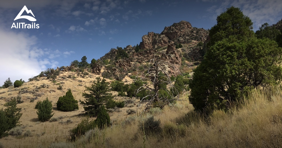 Best Views Trails in Cardwell AllTrails