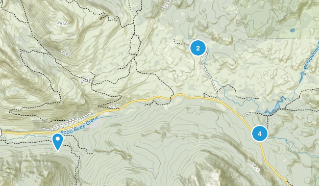 Cooke City, Montana Map