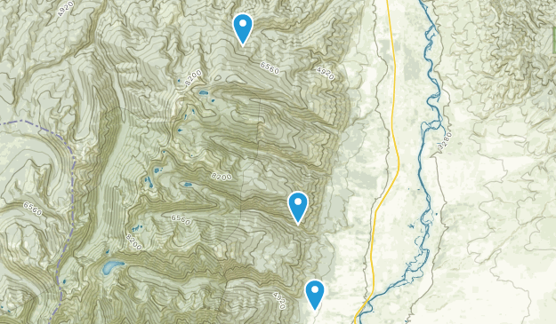 Florence, Montana Map