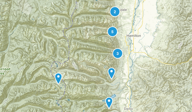 Hamilton, Montana Map