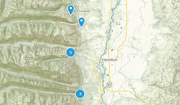 Hamilton, Montana Map