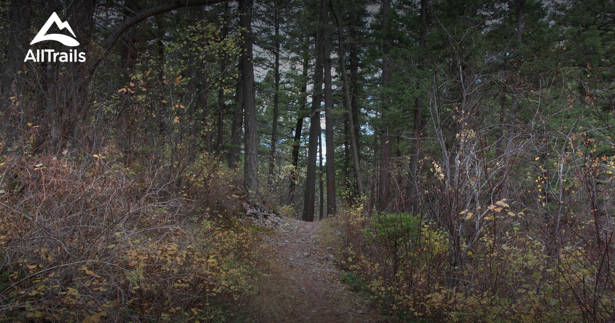 Best Trails near Helena, Montana AllTrails