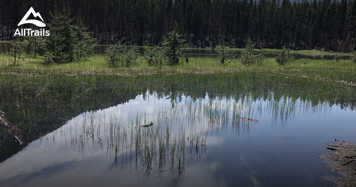 Best trails in Seeley Lake, Montana AllTrails