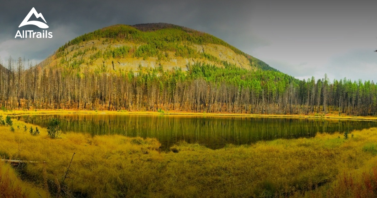Best hikes and trails in Seeley Lake AllTrails