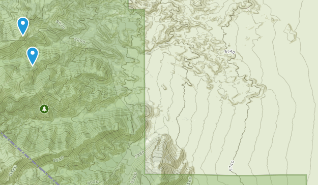 Dyer, Nevada Map