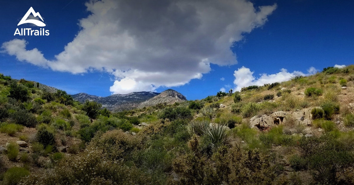 Best trails in Jean, Nevada | AllTrails