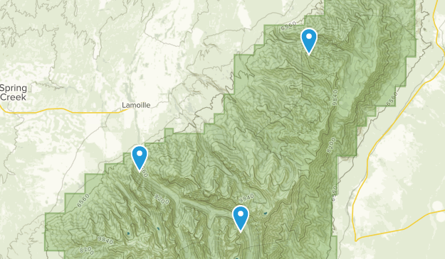 Lamoille, Nevada Map