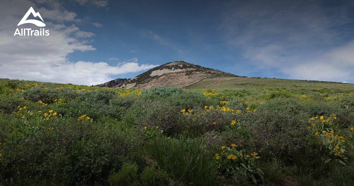 Best Trails near Paradise Valley, Nevada AllTrails