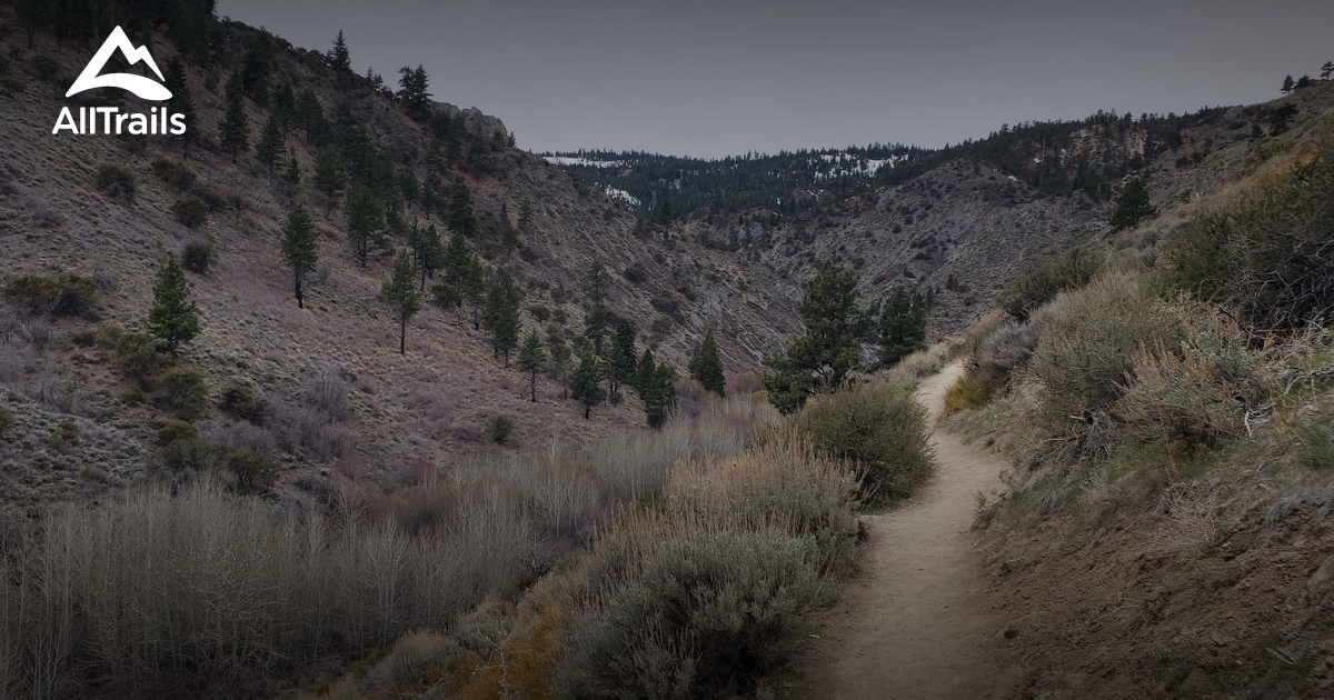 Best Trails near Reno, Nevada | AllTrails