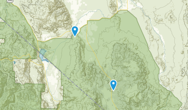 Wellington, Nevada Map